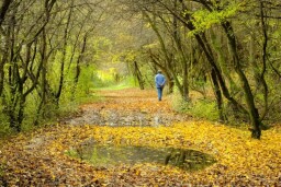 dscf2747-cut_5d9ui2y2_1